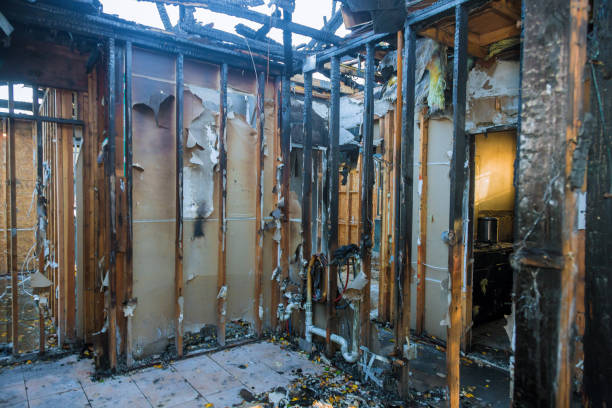Professional Soot Cleanup technician working in Flat Rock, MI